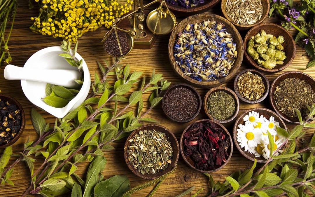 Fitoterapi Nedir? Evde Güvenli Bitkisel Kür Hazırlama Rehberi