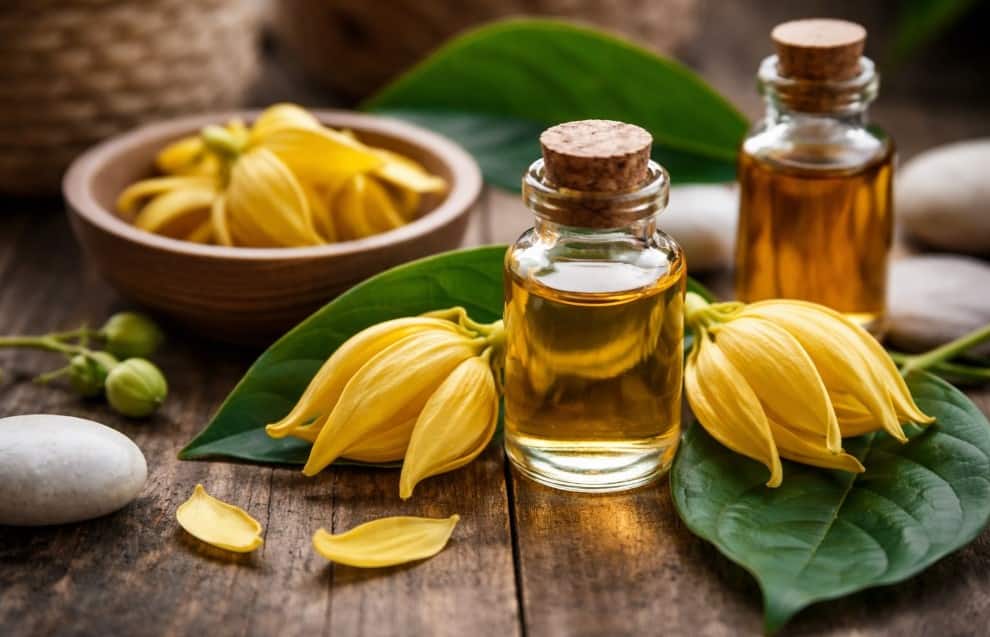 Ylang Ylang Yağı: Kalp Ritmini Yavaşlatan Çiçek